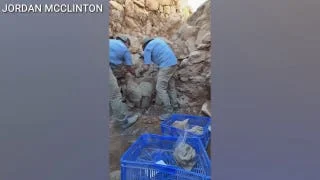 Ancient food found at biblical Shiloh near site tied to Ark of the Covenant